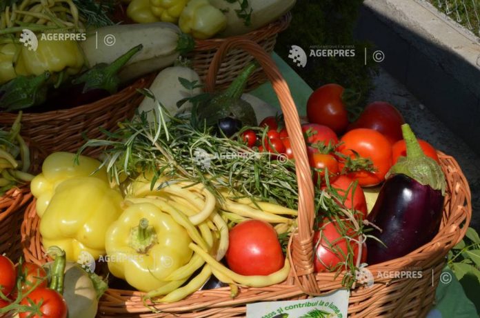 Alertă: Ziua veganismului și sărbătorile din 1 noiembrie se întâlnesc